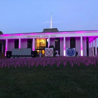 town hall purple