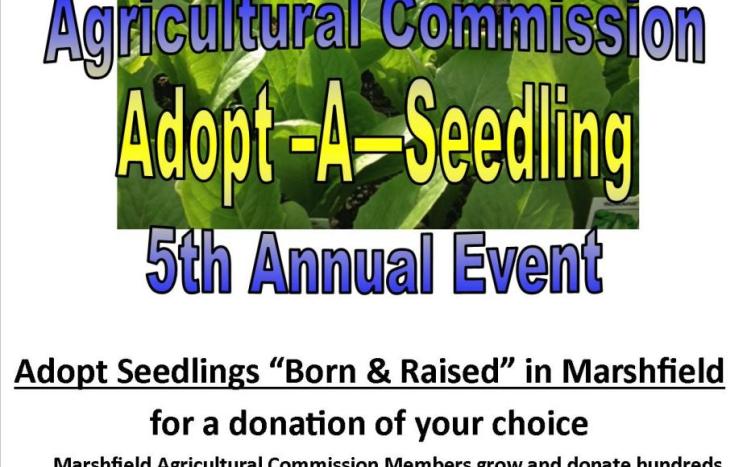 AgCom Adopt a seedling 17
